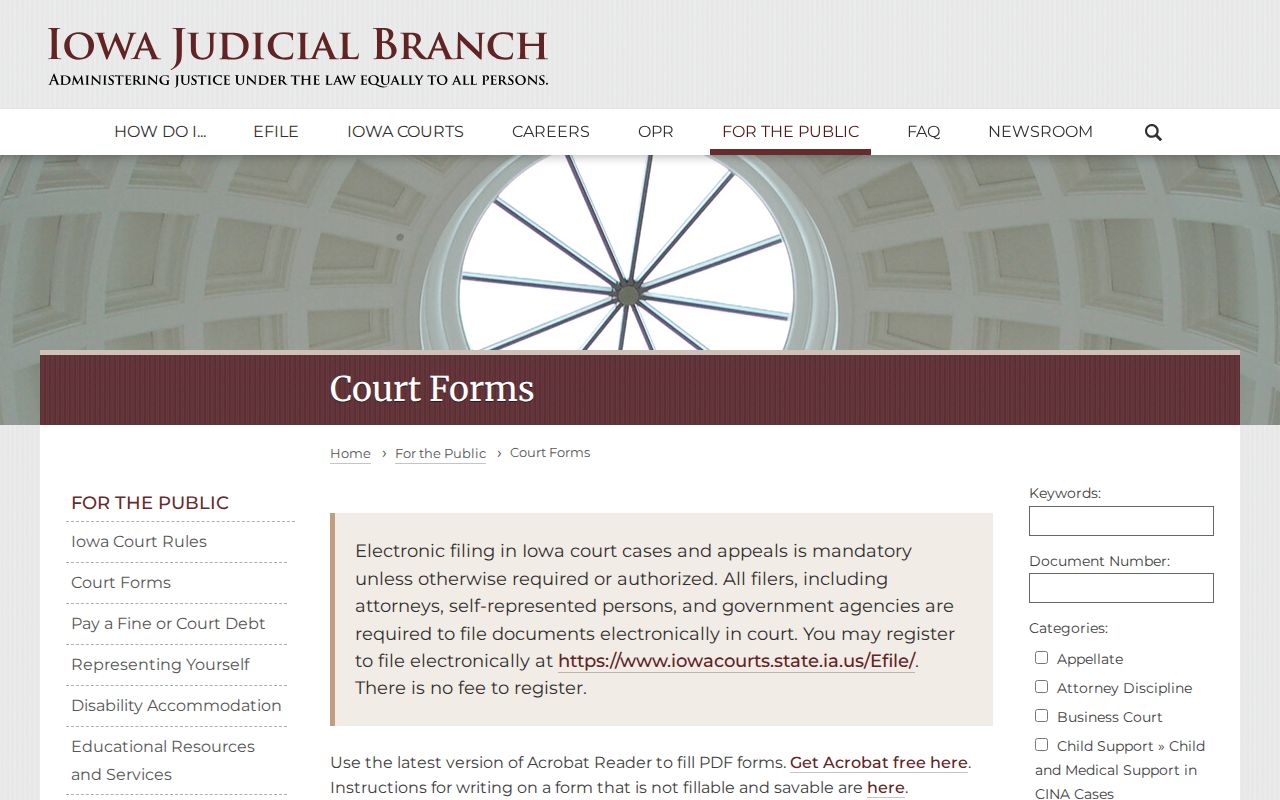 Ringgold County court case lookup using Iowa Judicial Branch forms